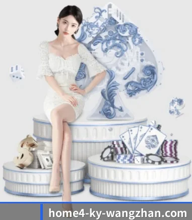 快速发展 - 市场覆盖范围大幅扩大,合作品牌阵容持续壮大,用户基数稳步增长。