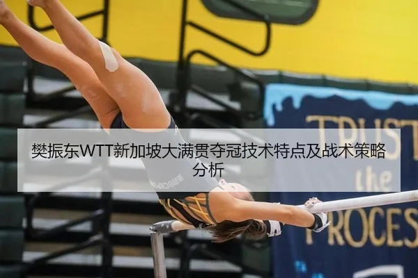樊振东WTT新加坡大满贯夺冠技术特点及战术策略分析