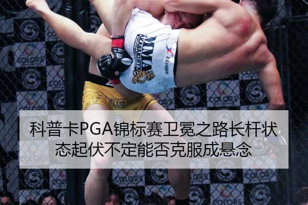 ke-pu-ka-jin-biao-sai-wei-mian-zhi-lu-zhang-gan-zhuang-tai-qi-fu-bu-ding-neng-fou-ke-fu-cheng-xuan-nian-2-312.jpg