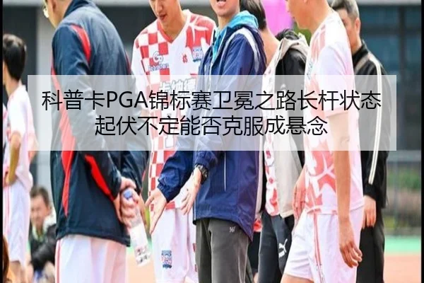 ke-pu-ka-jin-biao-sai-wei-mian-zhi-lu-zhang-gan-zhuang-tai-qi-fu-bu-ding-neng-fou-ke-fu-cheng-xuan-nian-3-454.jpg