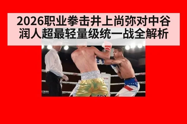 2026职业拳击井上尚弥对中谷润人超最轻量级统一战全解析